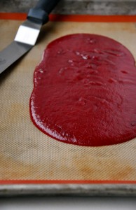 Strawberry Fruit Roll-Ups