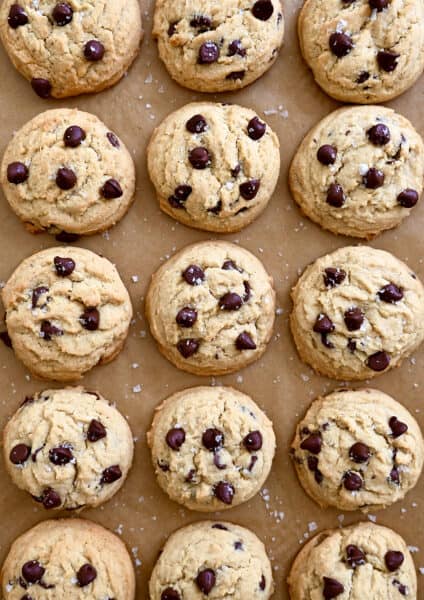 A top-down view of High Altitude Chocolate Chip Cookies topped with sea salt