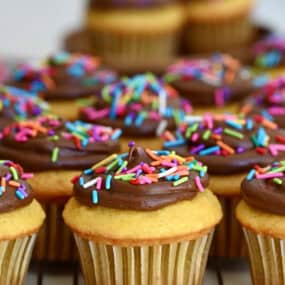 Vanilla cake mix cupcakes with chocolate frosting and rainbow sprinkles.