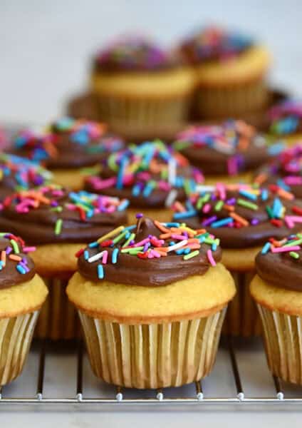 Vanilla cake mix cupcakes with chocolate frosting and rainbow sprinkles.