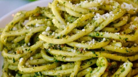 Basil pesto pasta on a white plate with basil and cheese