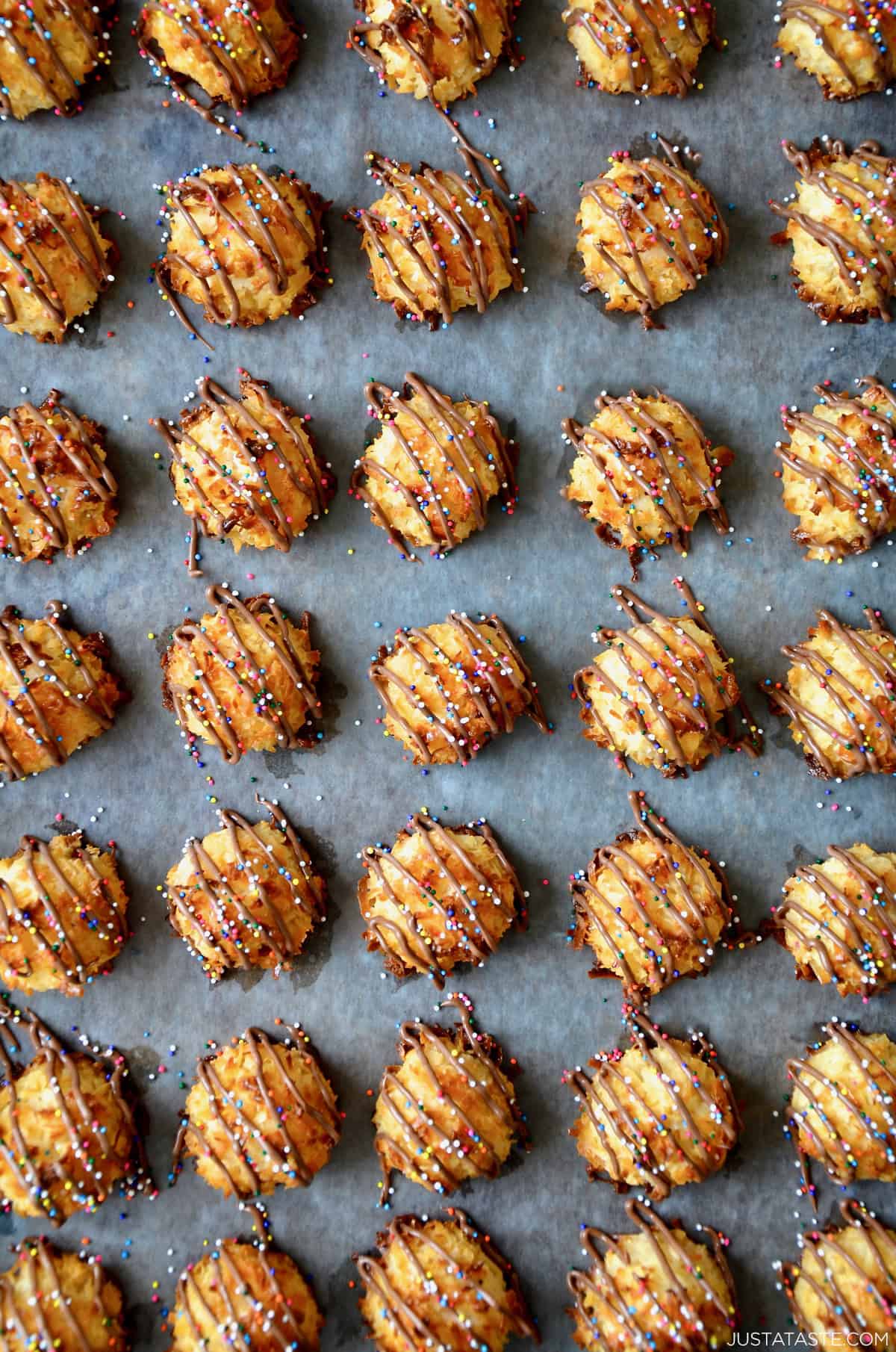 Perfect rows of coconut macaroons drizzled with melted chocolate and topped with rainbow sprinkles.