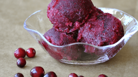 Cranberry Sorbet Recipe