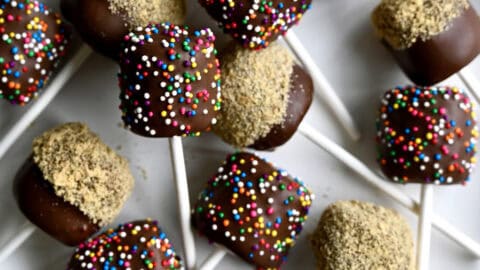 Chocolate-covered marshmallows on a stick on a serving plate. Half of the chocolate dipped marshmallows have rainbow sprinkles and half are coated in crushed nuts.