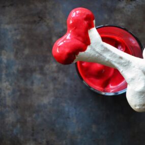 Homemade Red Velvet Pudding and Meringue Bones
