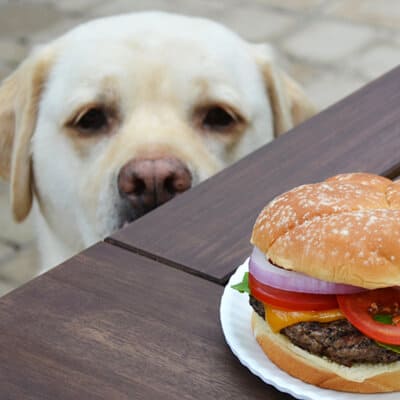 Summer Grilling