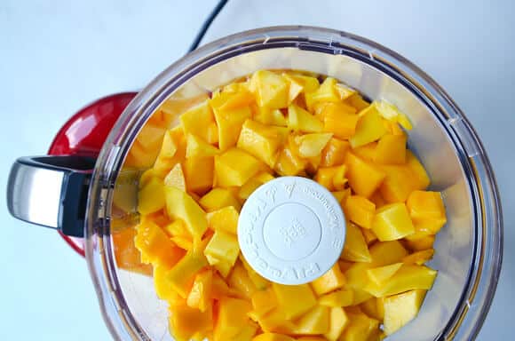 Healthy Homemade Mango Fruit Roll-Ups