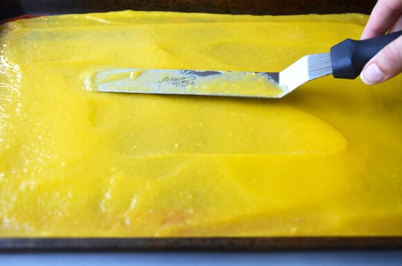 Healthy Homemade Mango Fruit Roll-Ups