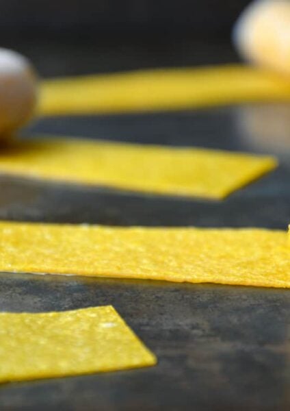 Healthy Homemade Fruit Roll-Ups