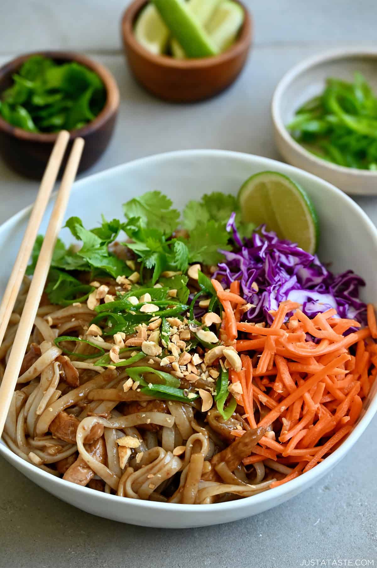 Chicken Pad Thai with chopped peanuts, cilantro, shredded carrots and purple cabbage.
