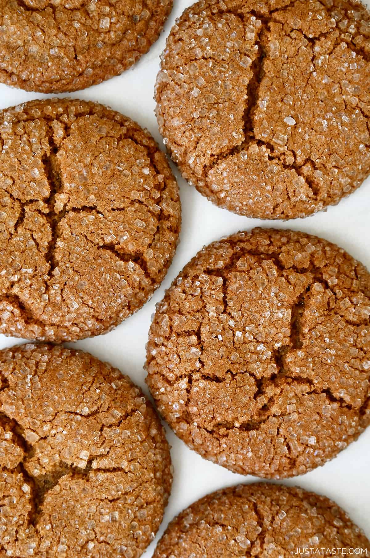 Close up of ginger cookies sprinkled with sanding sugar.
