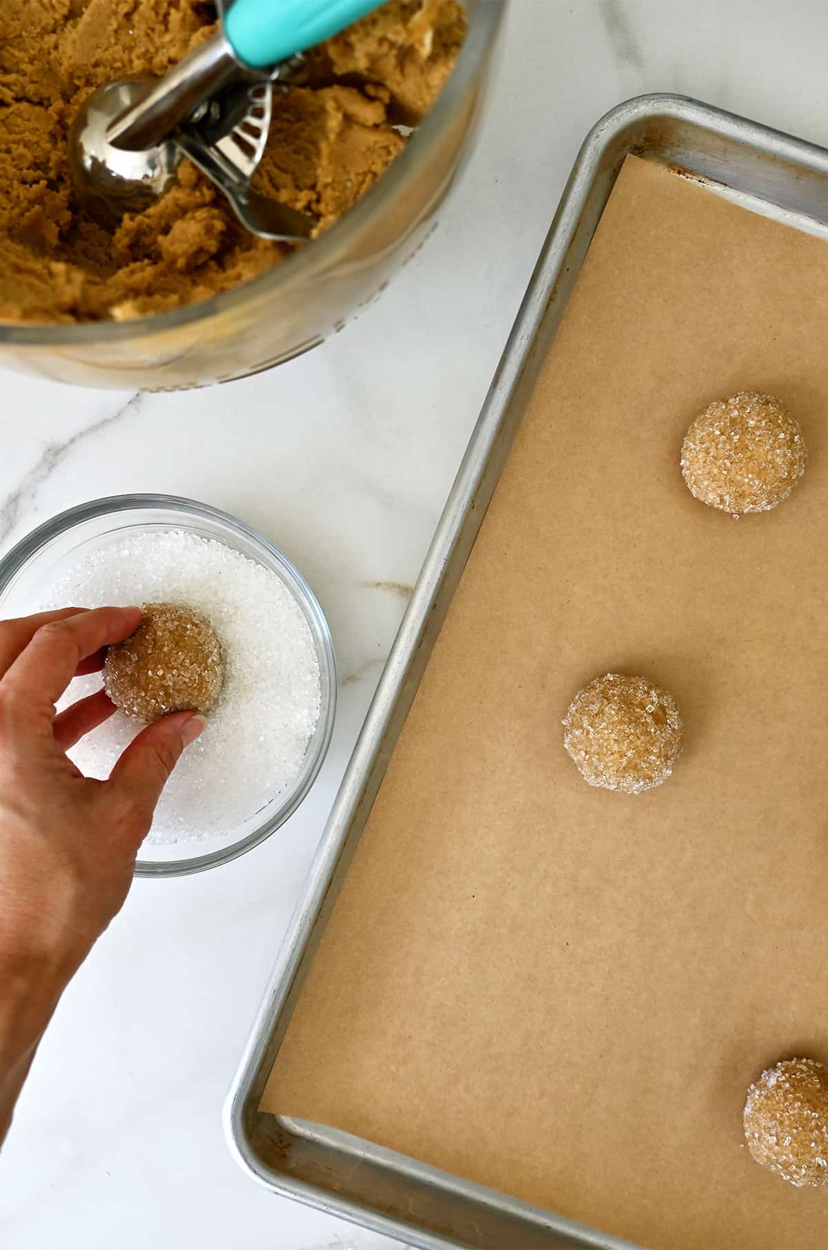 Balls of ginger cookie dough are rolled in sanding sugar then placed on a parchment-lined baking sheet.
