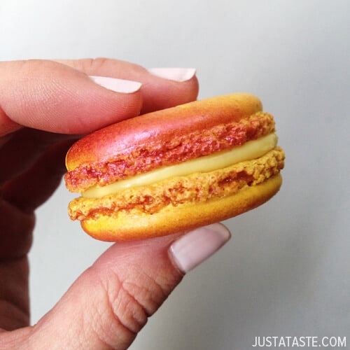 The Best French Macarons
