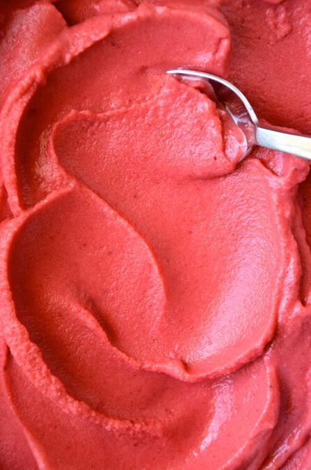 Ninja Creami Sorbet Recipe - Recipe Diaries