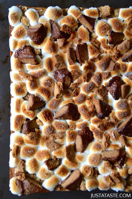 Peanut Butter S'mores Bars #recipe