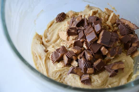Peanut Butter S'mores Bars #recipe