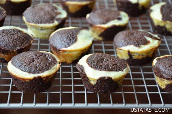 Cheesecake Brownie Bites Recipe