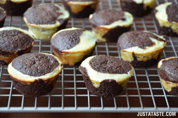 Cheesecake Brownie Bites Recipe