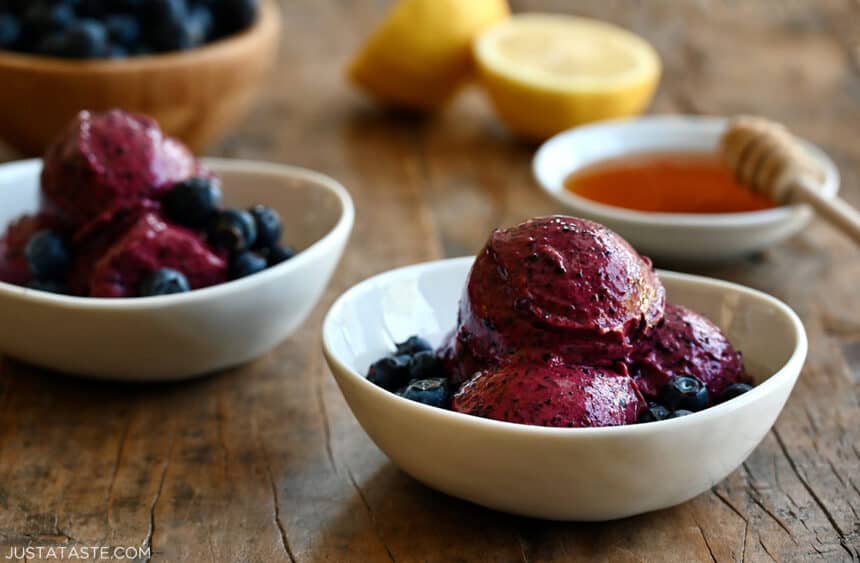 Two white bowls containing homemade blueberry frozen yogurt and fresh blueberries next to a small bowl filled with honey