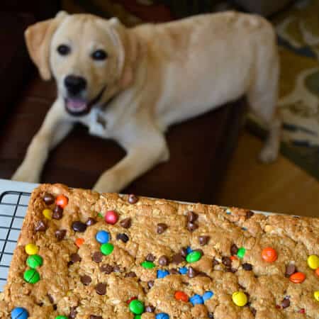 Monster Cookie Bars Recipe