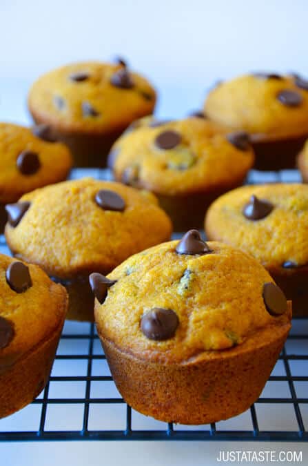 The Best Pumpkin Chocolate Chip Muffins Recipe