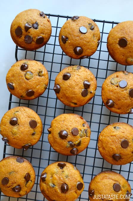 The Best Pumpkin Chocolate Chip Muffins Recipe