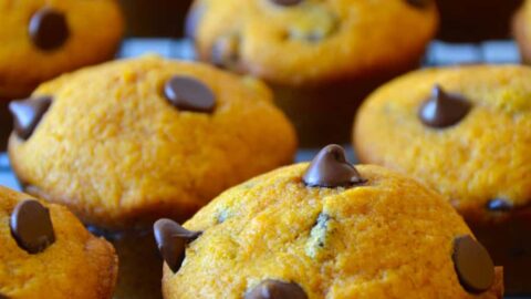 The best pumpkin chocolate chip muffins on a cooling rack