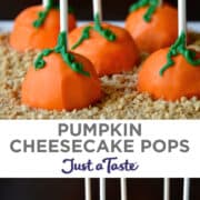 Top image: A closeup view of Pumpkin Cheesecake Pops on a bed of crushed graham crackers. Bottom image: Pumpkin Cheesecake Pops atop crushed graham crackers on a white serving plate.