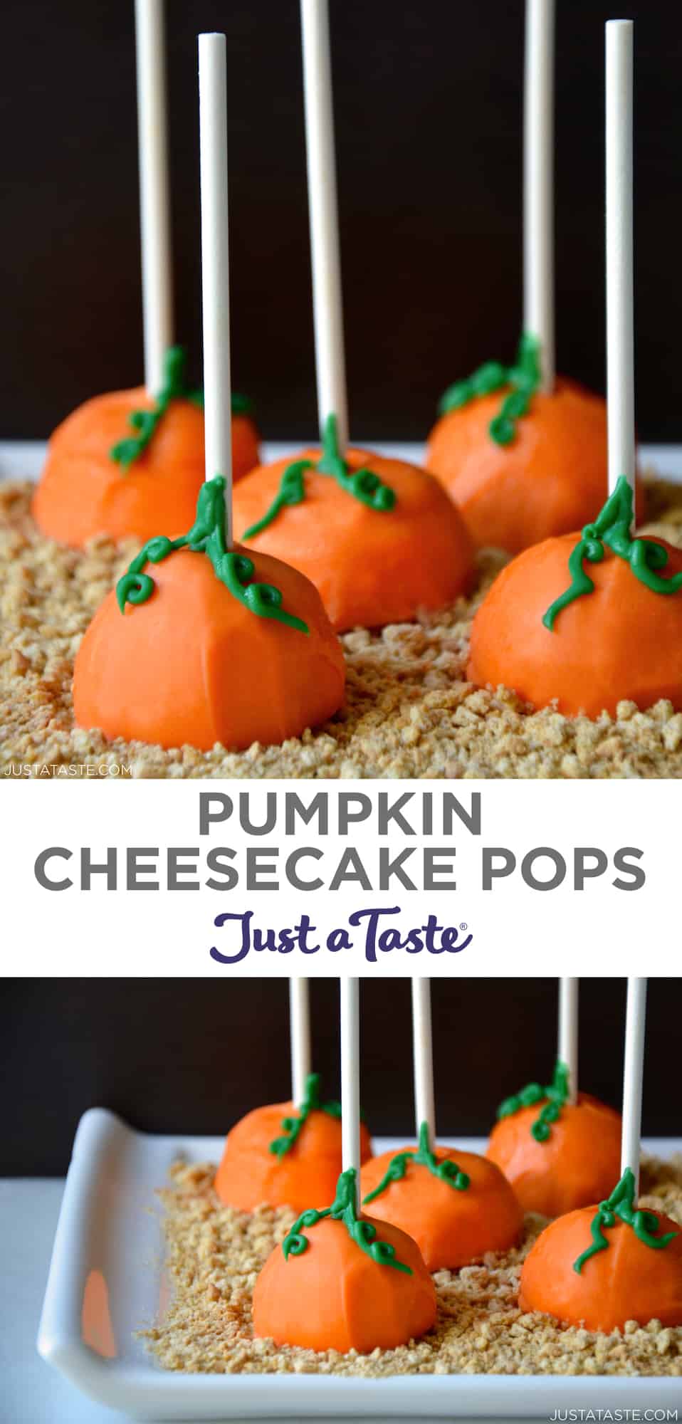 Pumpkin Cheesecake Pops Just a Taste