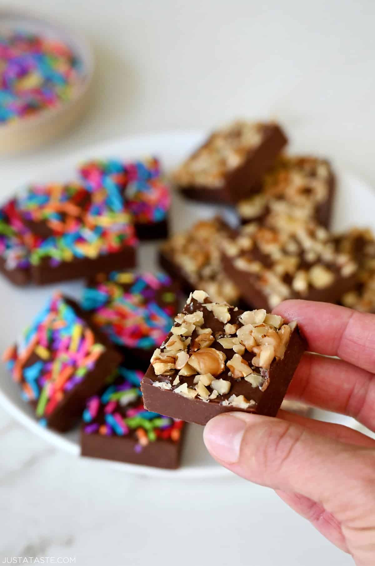 A hand holds a small chocolate fudge square topped with chopped walnuts.