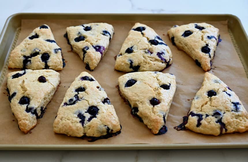 Freshly baked blueberry scones on a baking sheet