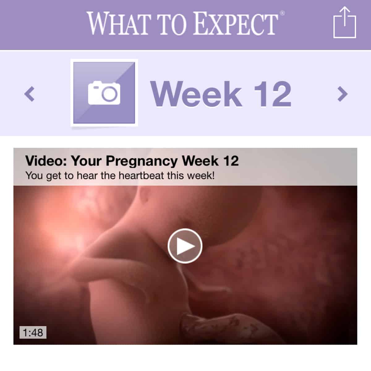 The Best Pregnancy Apps Just a Taste