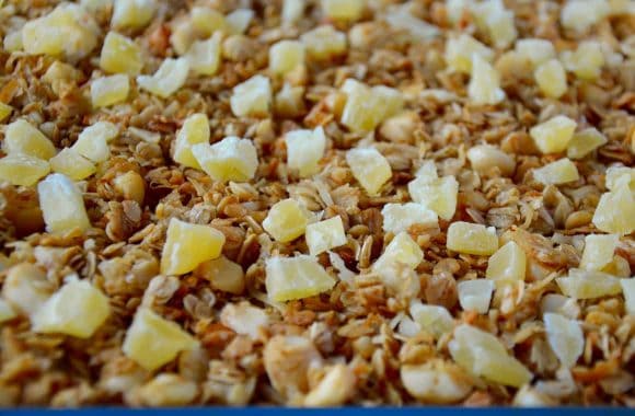 Homemade Coconut Granola Recipe