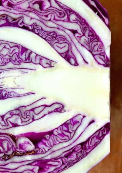 Cabbage Recipes