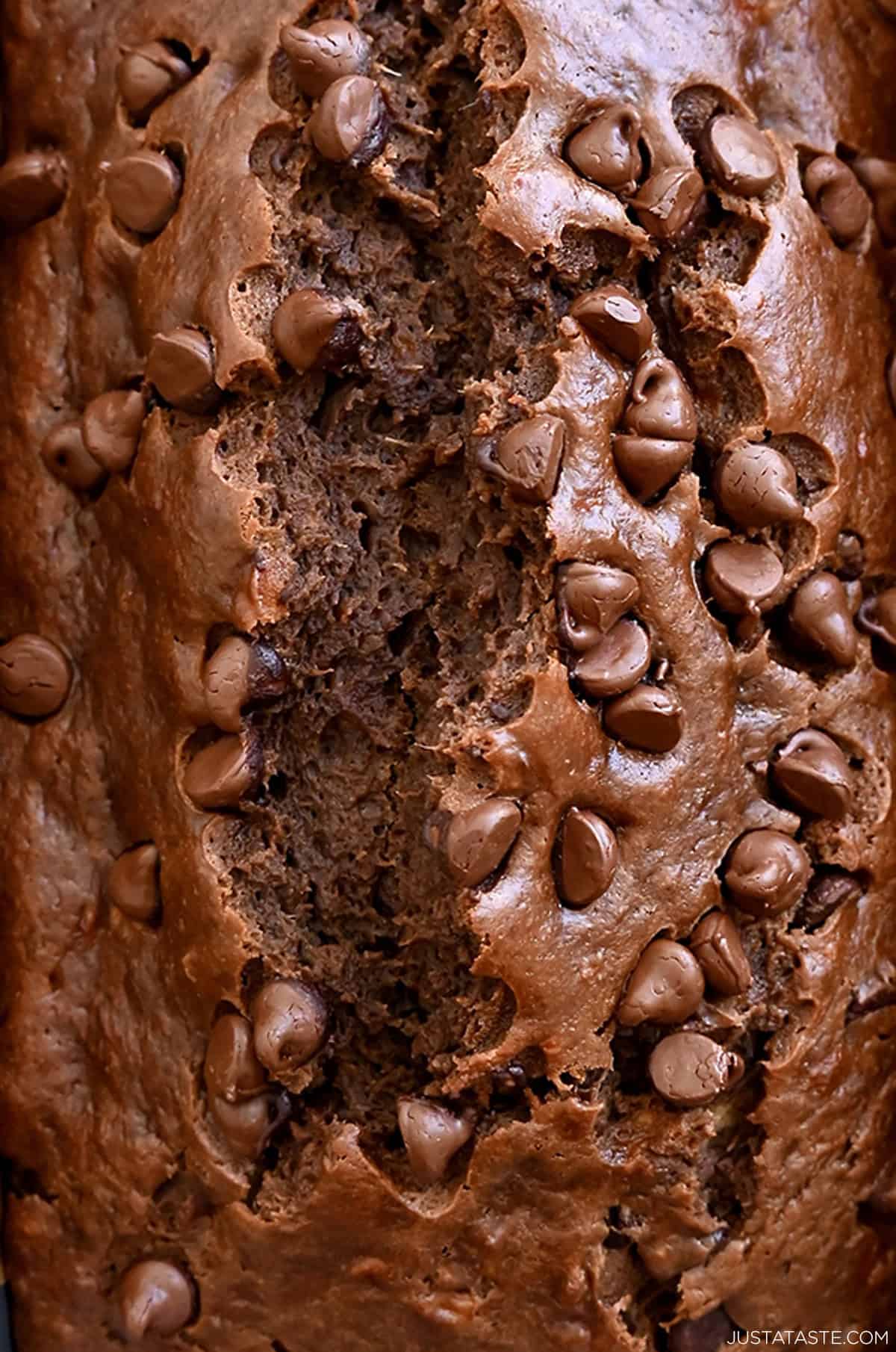A close-up of chocolate banana bread studded with chocolate chips.