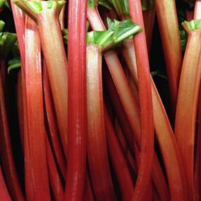 In Season Now: Rhubarb