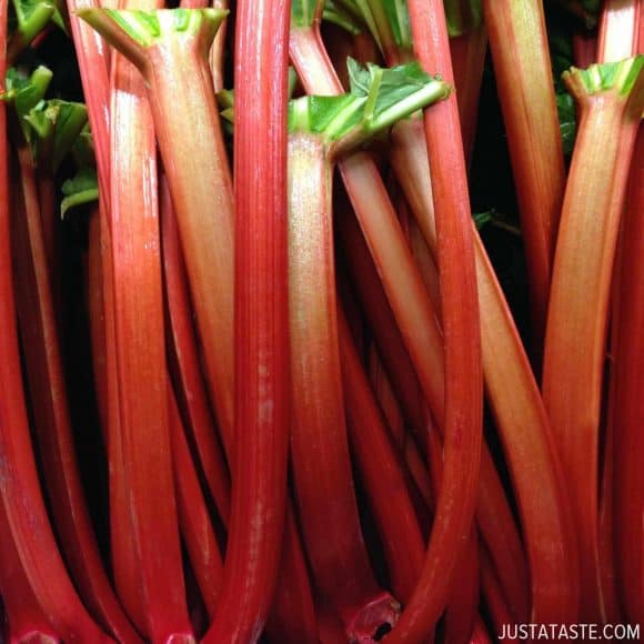 Rhubarb Recipes justataste.com