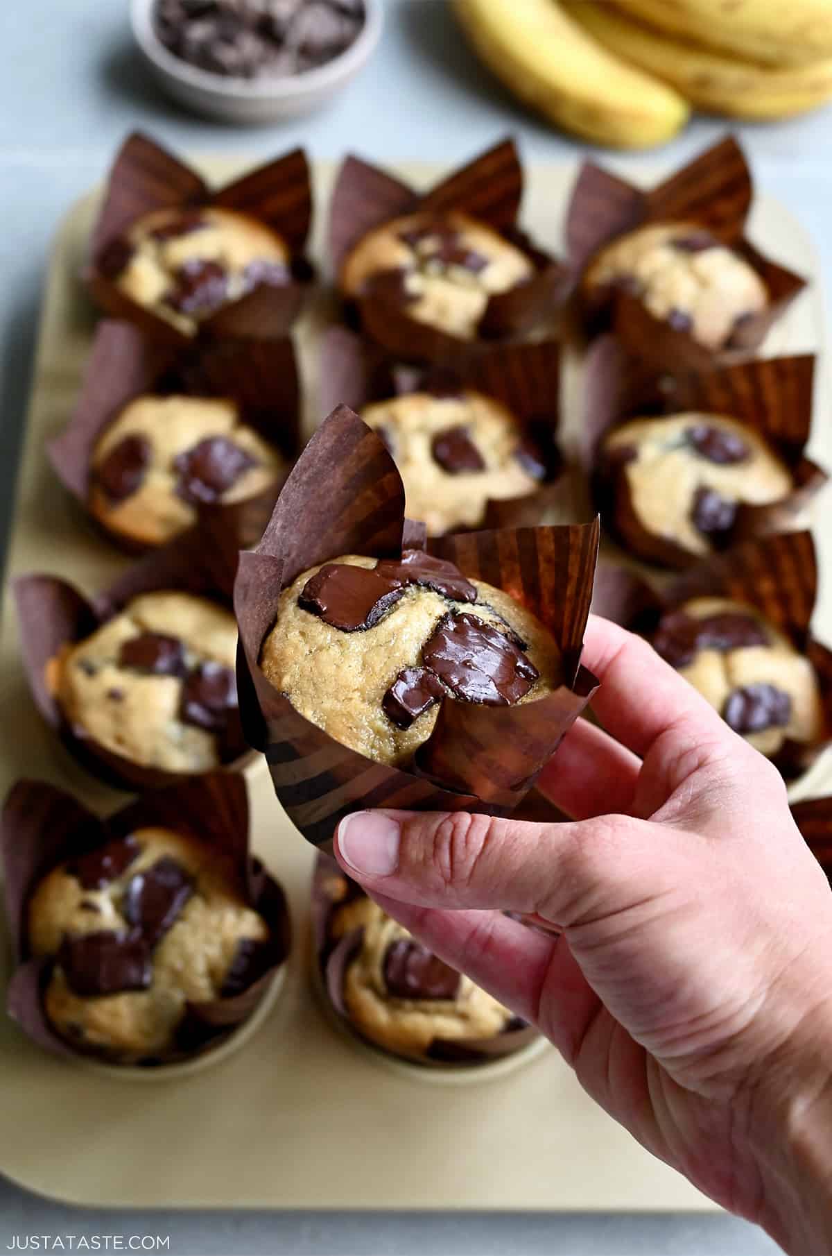 A hand holds a banana chocolate chip muffin above a muffin pan with freshly baked muffins.