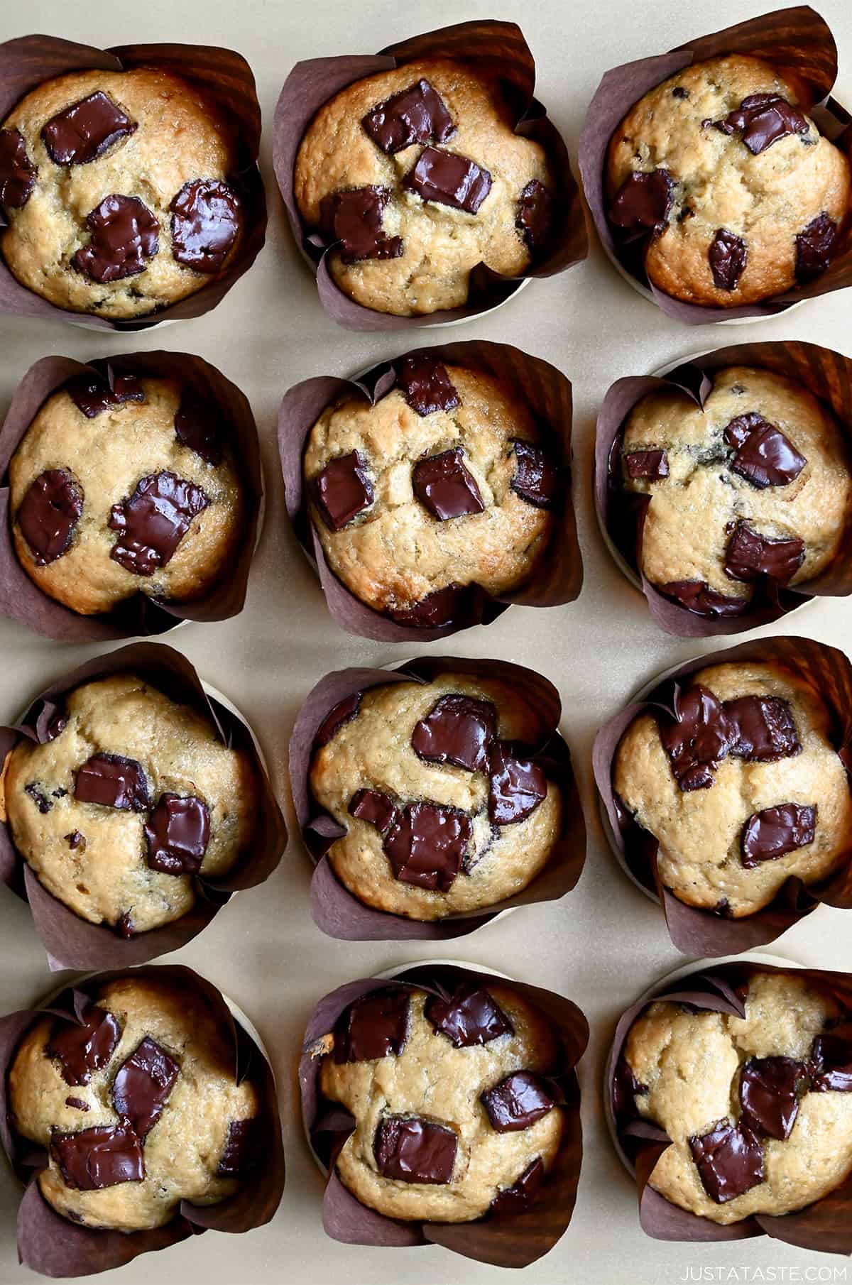 Golden brown banana chocolate chip muffins in cupcake liners in a muffin tin.