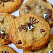 A Halloween Chocolate Chip Cookie with a chocolate spider and candy eyes.