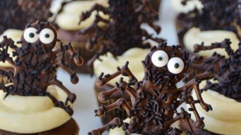 Chocolate Halloween Cupcakes topped with cream cheese frosting and chocolate spiders