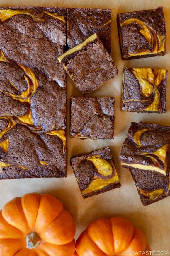 Pumpkin cheesecake brownies on tan parchment paper cut into squares with sugar pumpkins