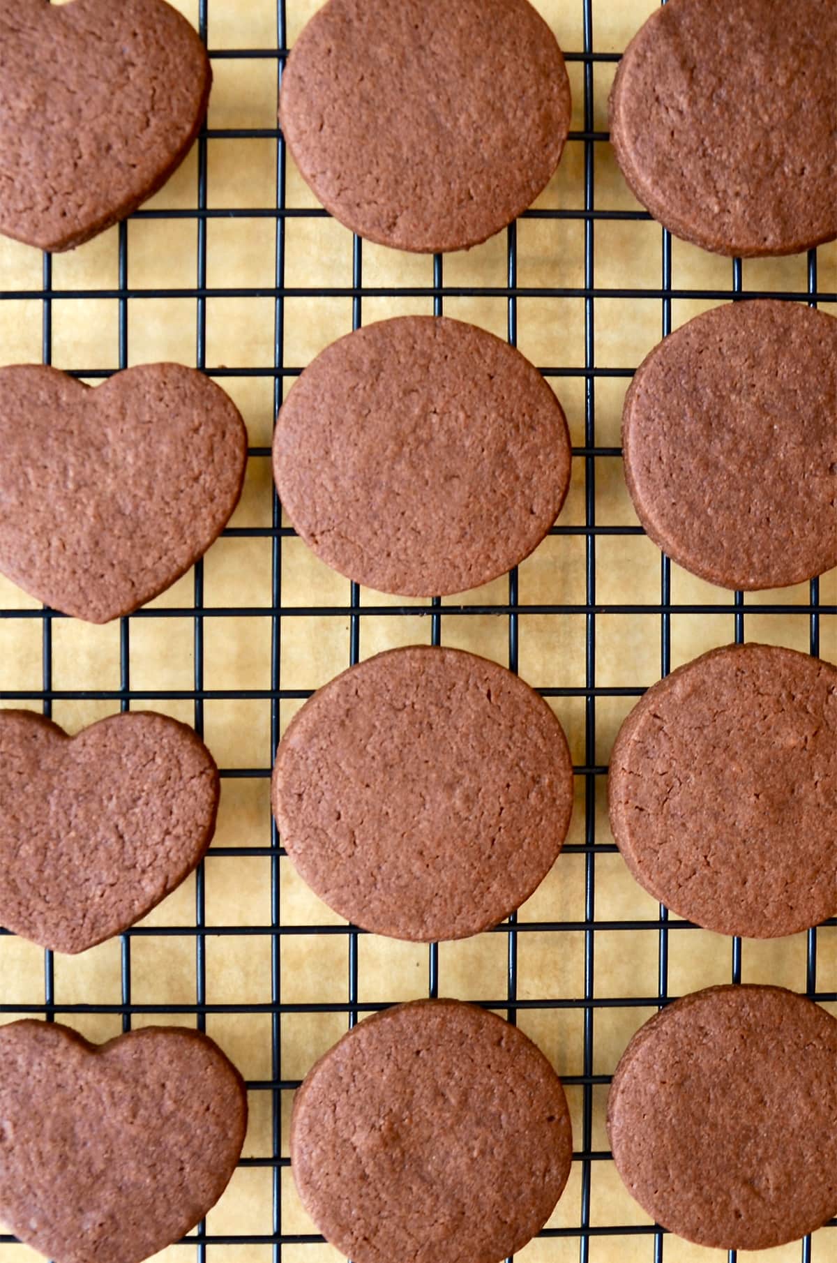 Baked chocolate cookies cooling on a wire rack.