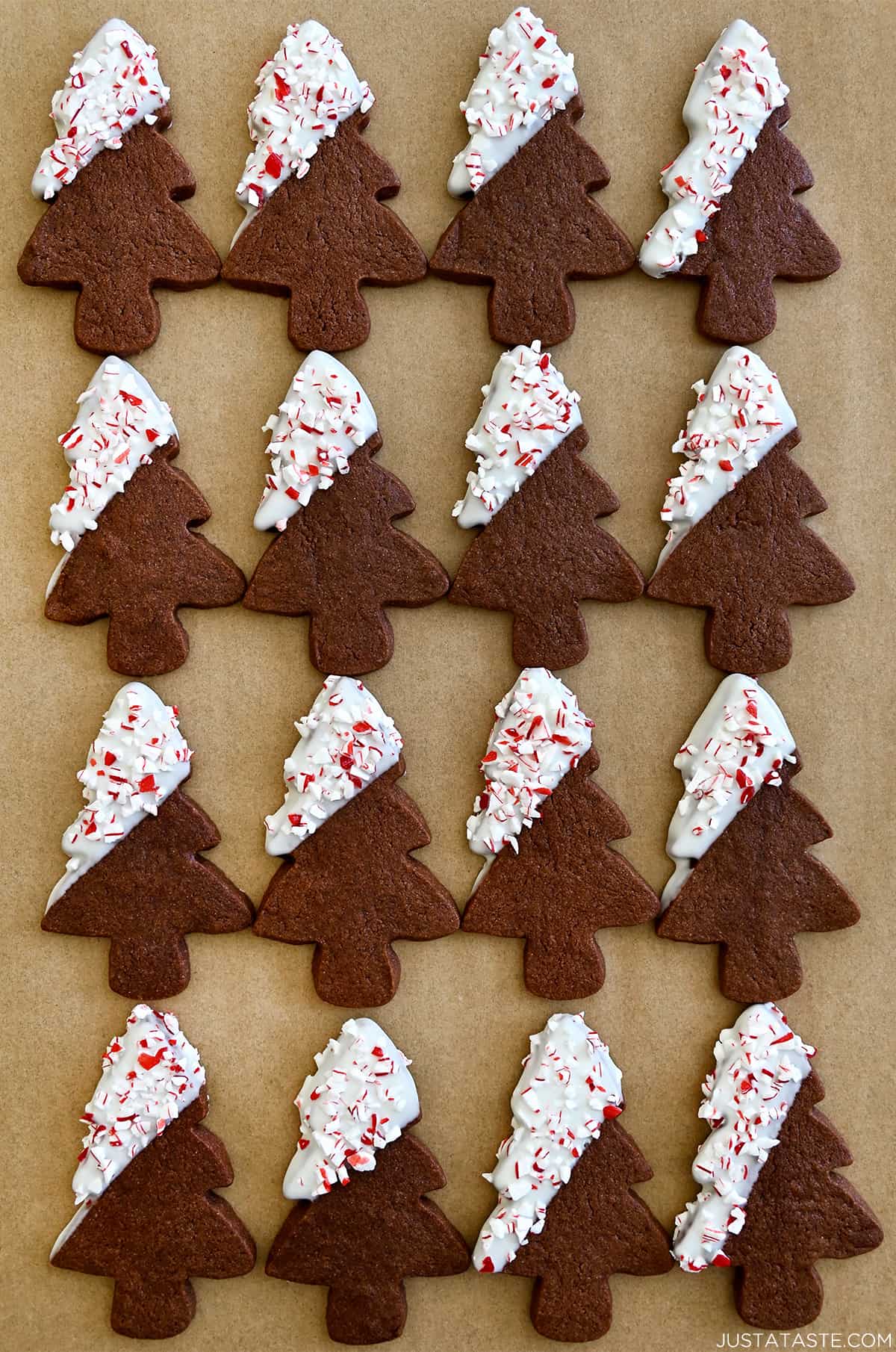 Chocolate sugar cookies in the shapes of Christmas trees dipped in white chocolate and sprinkled with crushed candy canes.