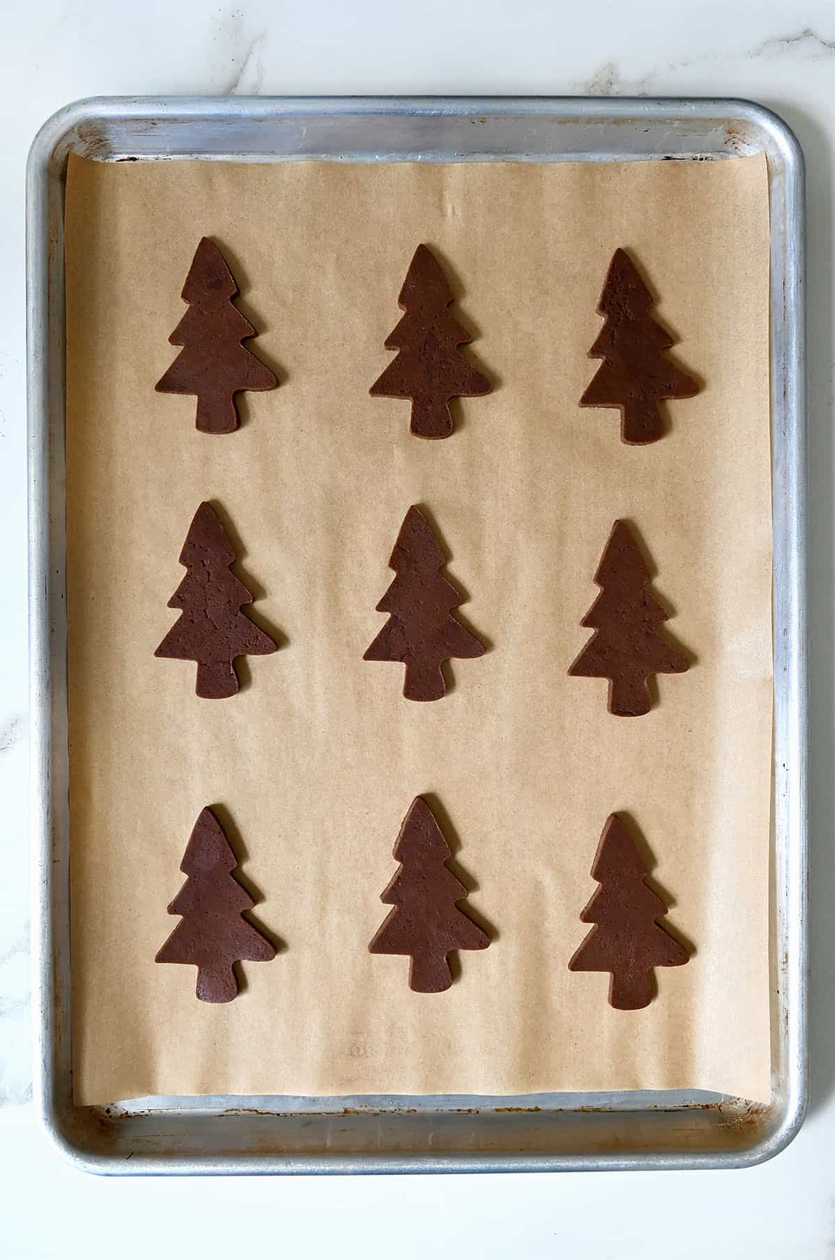 Unbaked chocolate sugar cookies in the shape of trees on a parchment paper-lined baking sheet.