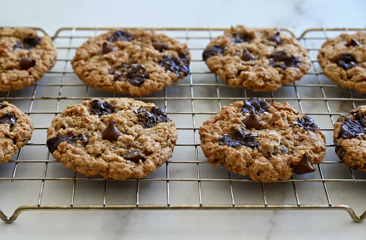 Freshly baked flourless peanut butter cookies with chocolate chips cooling on a wire rack.