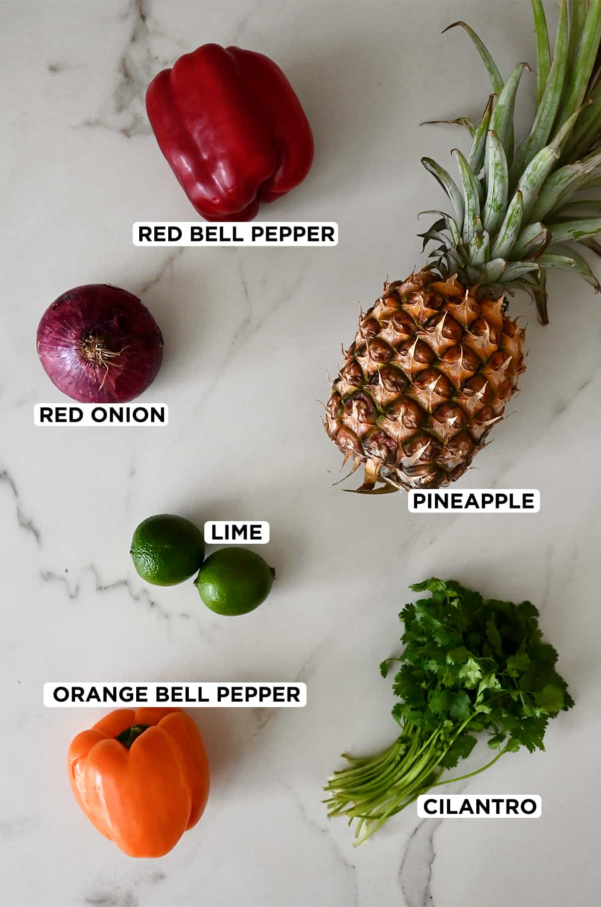 A top-down view of the fresh ingredients needed to make pineapple salsa, including red bell pepper, pineapple, cilantro, orange bell pepper, limes and red onion.