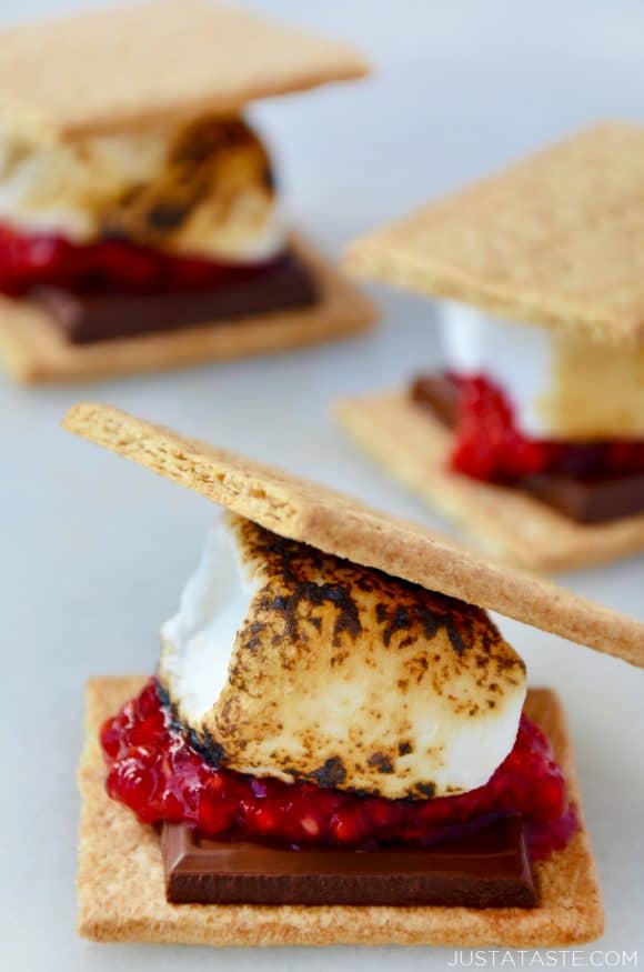 Close-up on s'mores sandwich with fresh raspberries