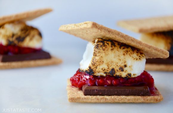 Raspberry s'mores with graham crackers and chocolate