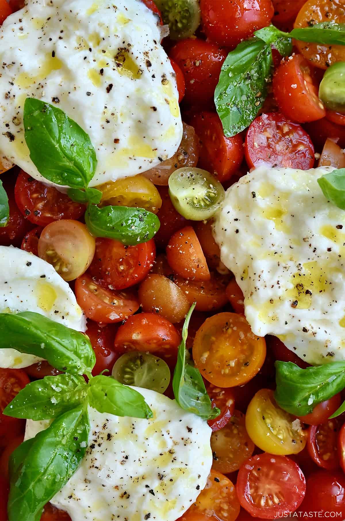 A close-up of a burrata Caprese salad.